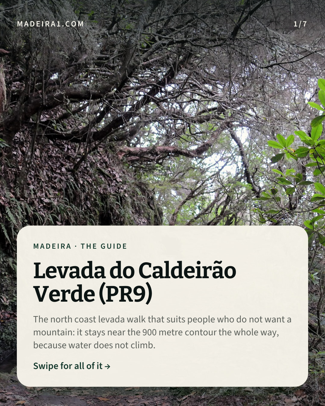Discover Madeira's Levada do Caldeirão Verde 🌿
